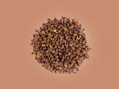 Timur (Nepali Sichuan Pepper) - Authentic Nepali chili from Buddha Greens