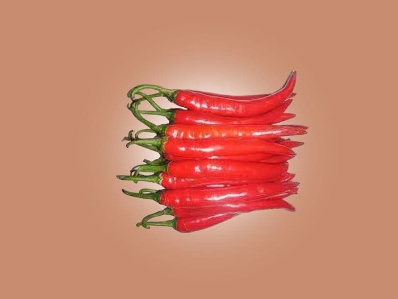 Jire Khursani - Authentic Nepali chili from Buddha Greens